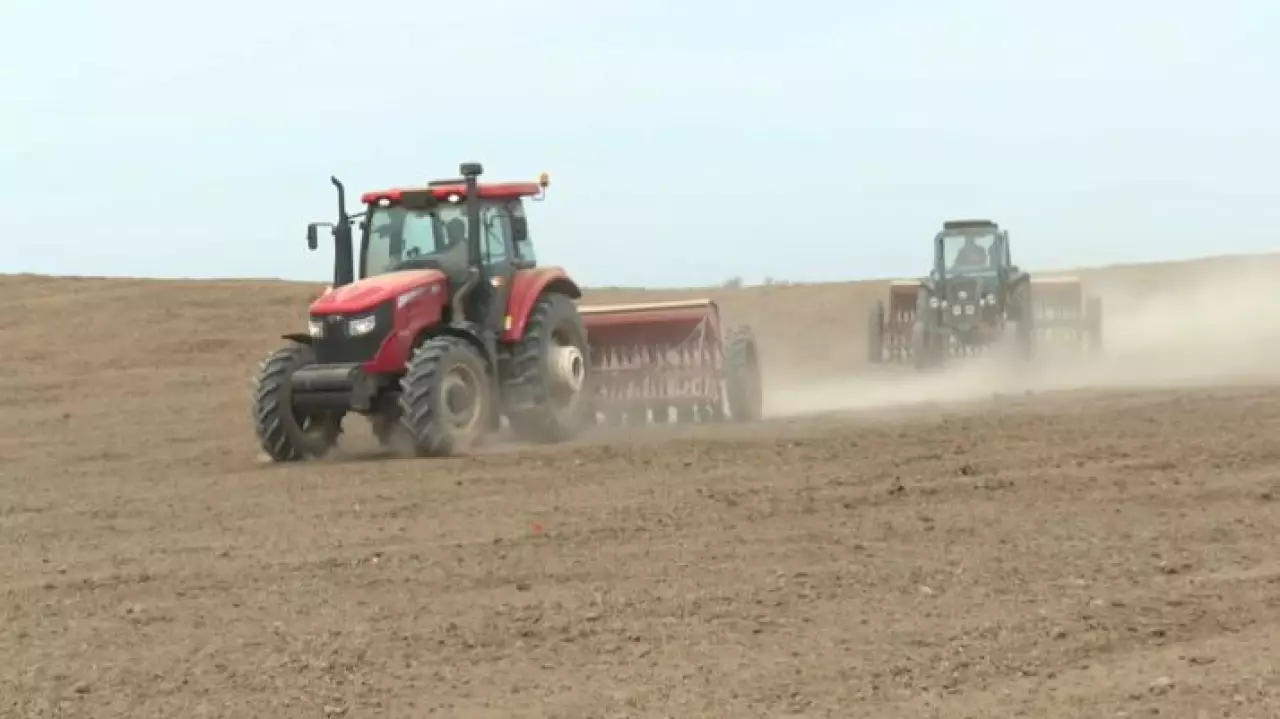 Посевную кампанию завершают в Шымкенте