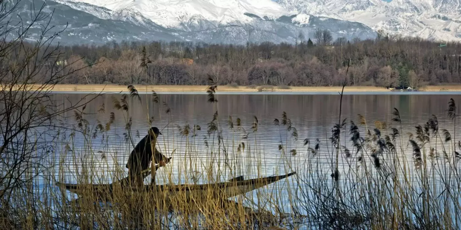 Павлодар облысында дүние үшін әйелін суға батырып өлтірген ер адам сотталды