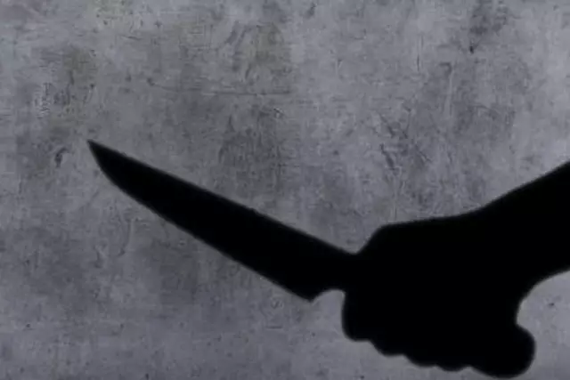 Талдықорған орталығында ер адамды өлтіріп кеткен (ВИДЕО)