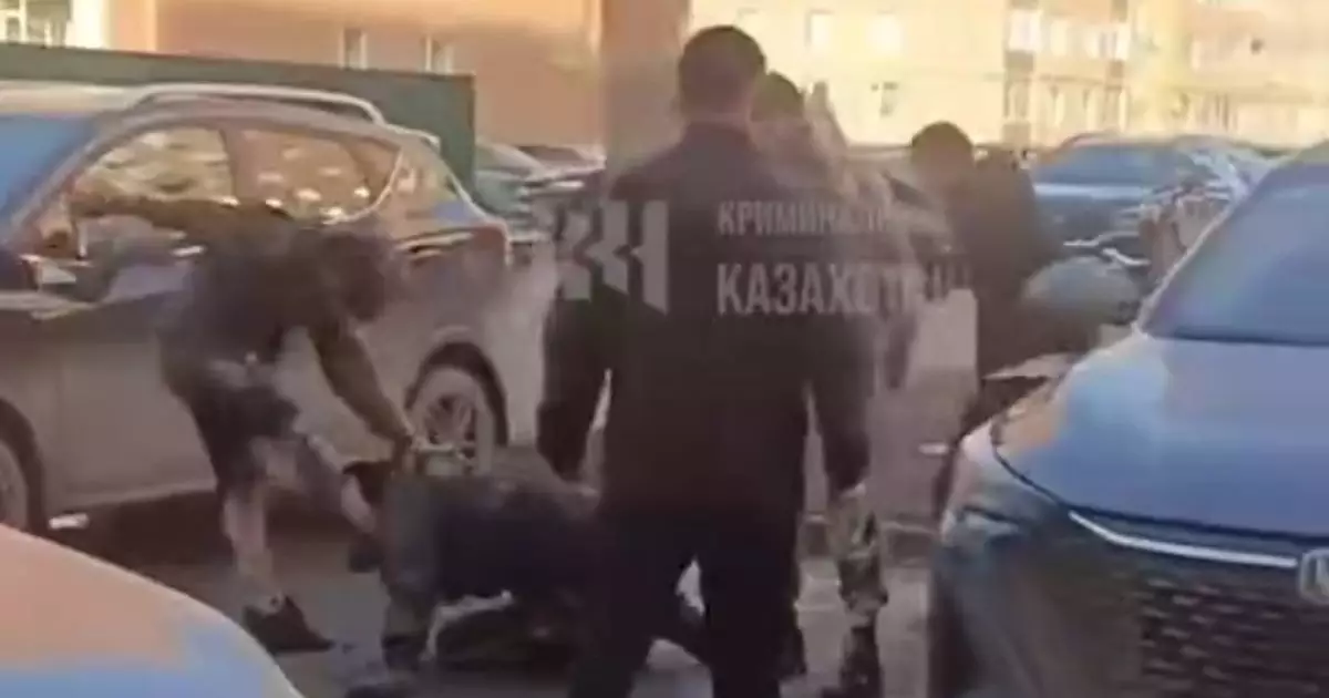  Қостанайда мас ер адамдар тобы полицейді соққыға жықты 