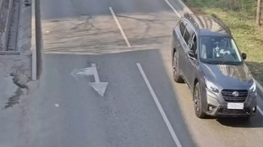 Алматинцу пришел штраф за чужую машину. Что делать в таких случаях