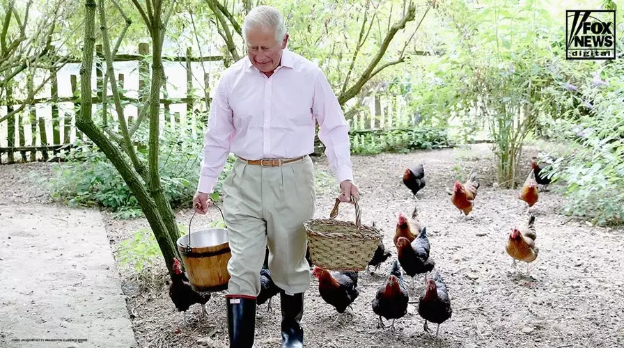 Король Карл III посетит США по случаю 250-летия Америки.