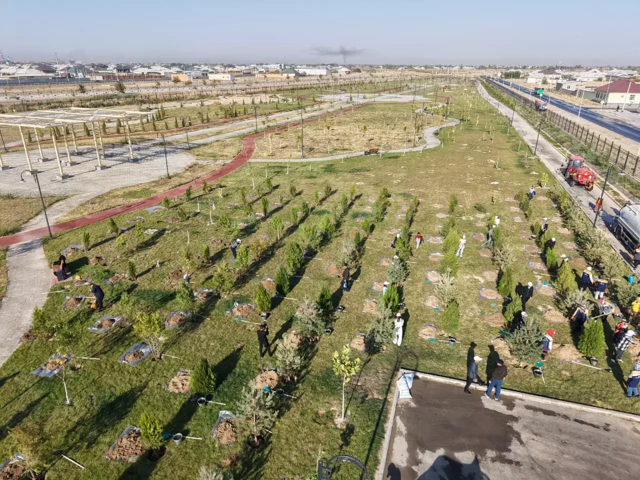 Түркістан облысында биыл 1 млн көшет отырғызылады