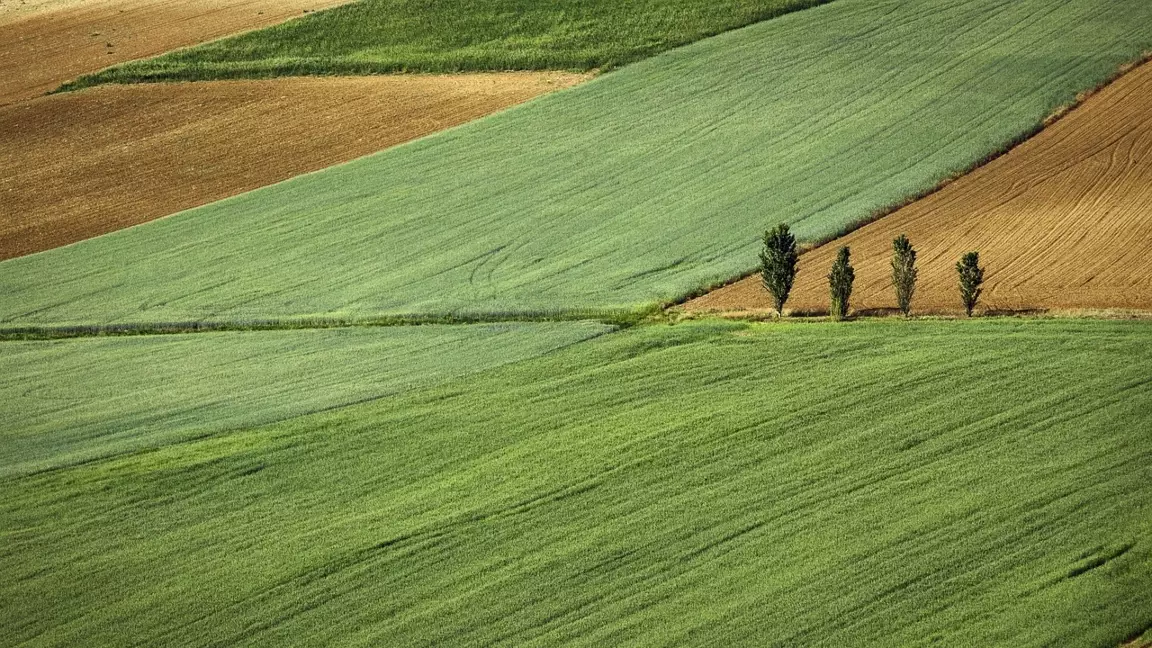 16 мың гектар жер инвесторға қайтарылды