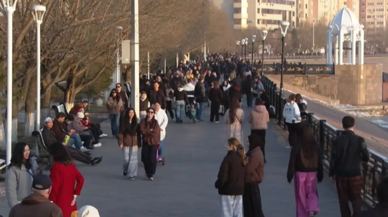 Алиментті өндіру тиімділігі артады