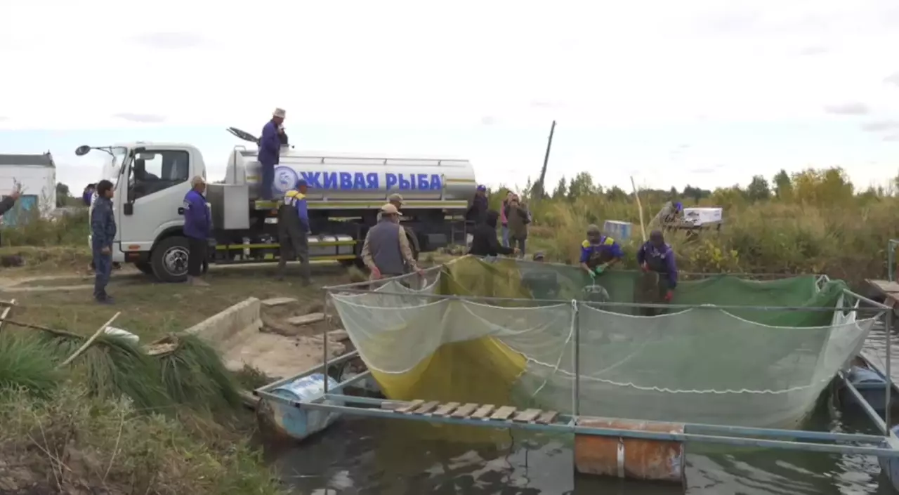 Балық шаруашылығын дамытудың жолы қандай?