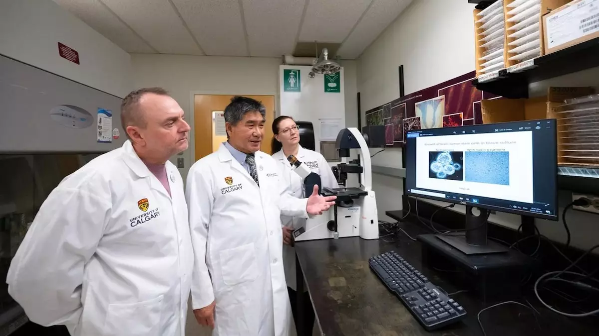 Агрессивный рак мозга может реагировать на высокодозовую витаминную терапию, предполагает исследование.