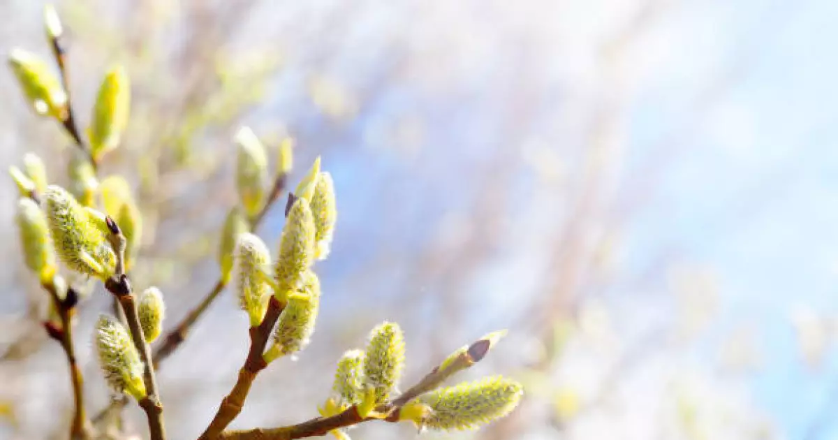   Бүгінгі күнге арналған ауа райы болжамы жасалды   