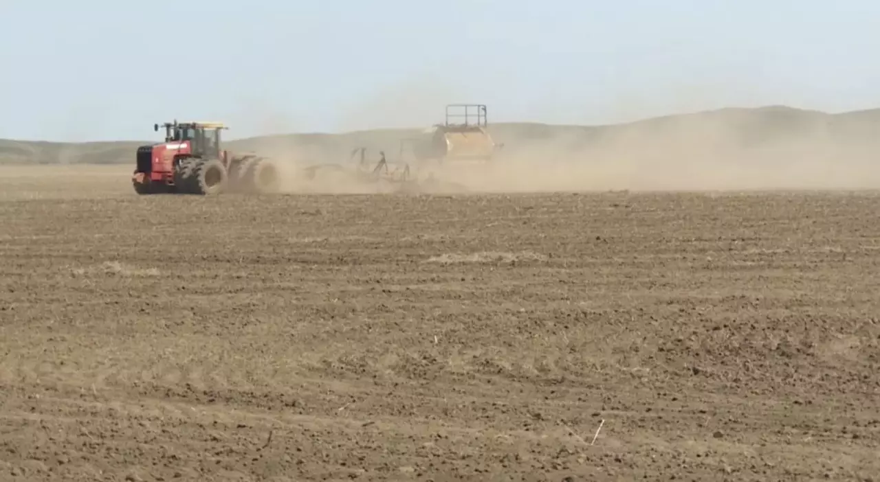 Диқандар егіске қамданып жатыр