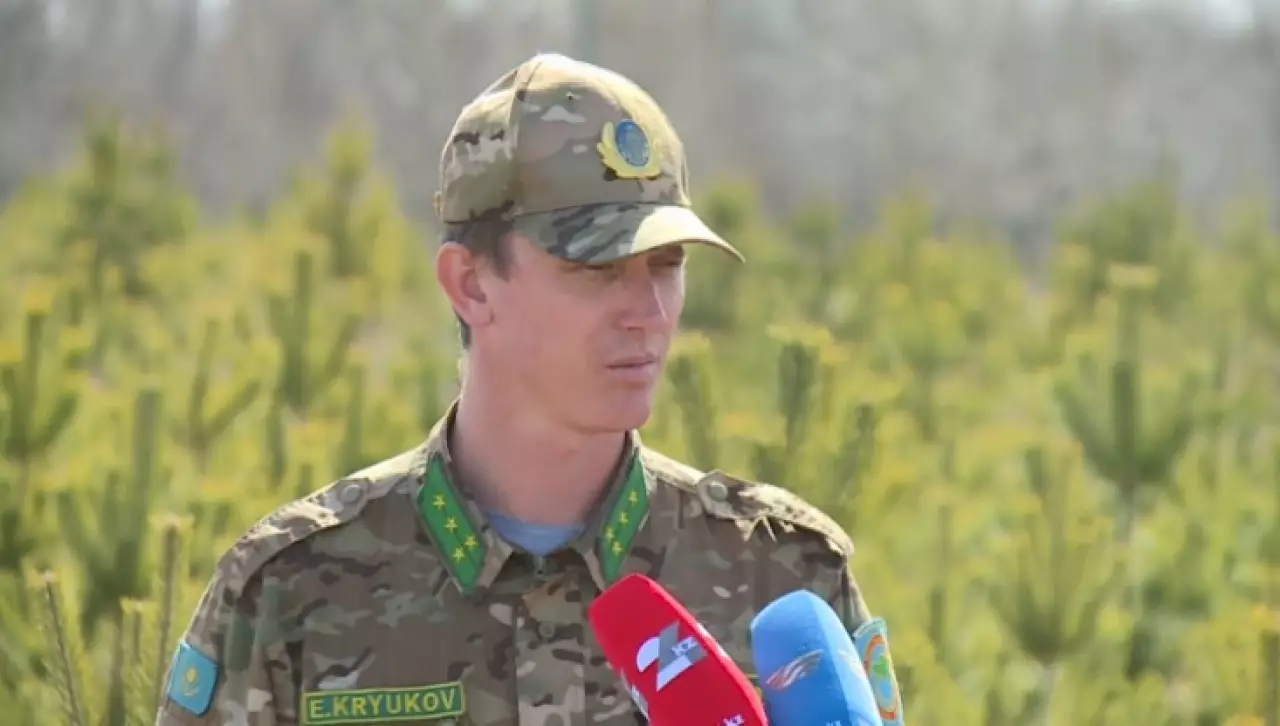 Масштабная кампания по озеленению развернется в Карагандинской области