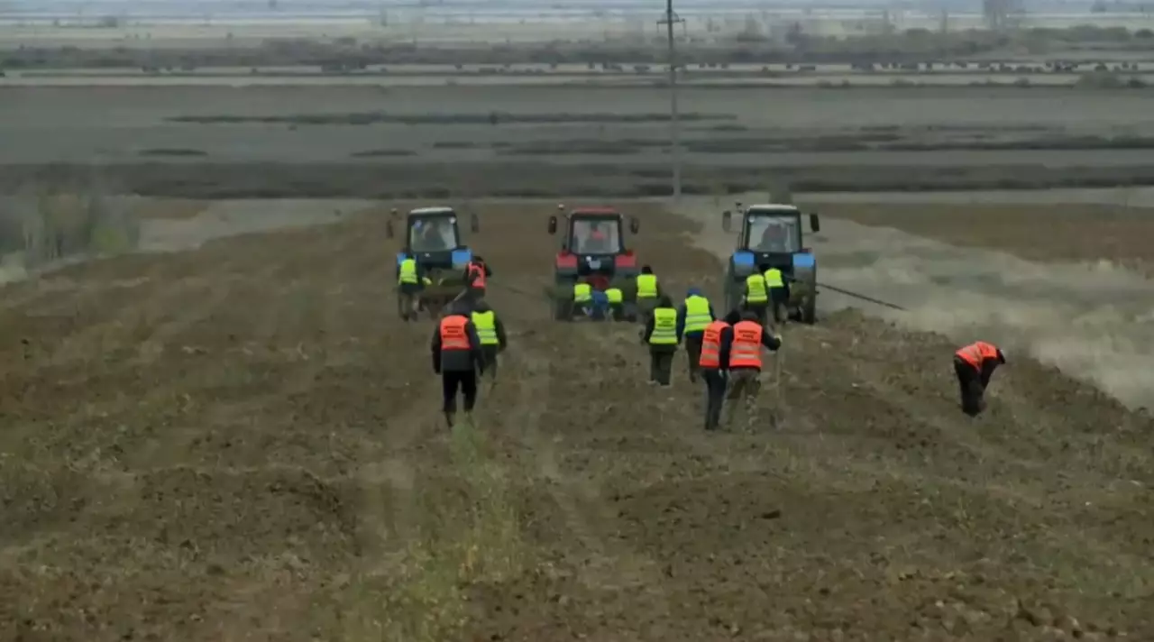 Қарағанды облысында әуежайға дейінгі жол жасыл белдеуге айналады