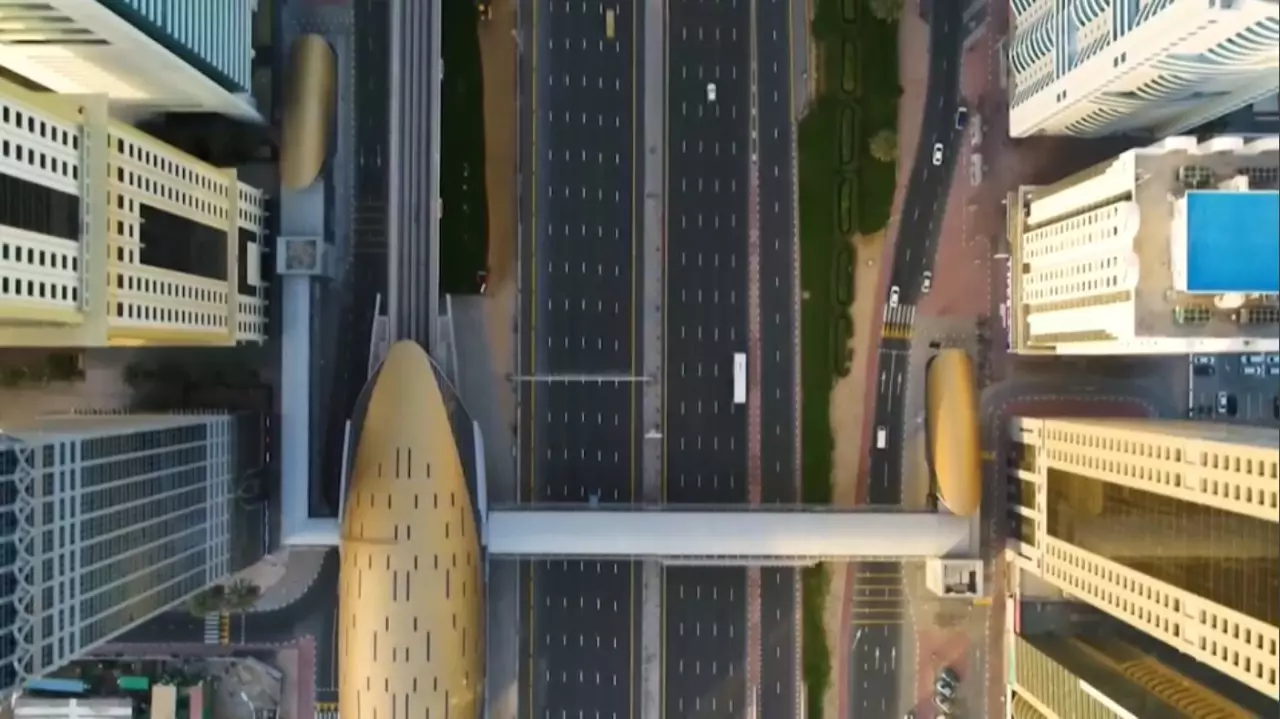 Әлем елдерінде әкімшілік амнистия қалай қолданылады?