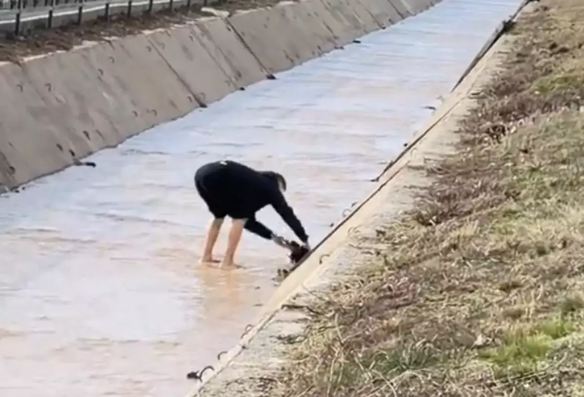 Казахстанец стал героем TikTok после спасения щенка