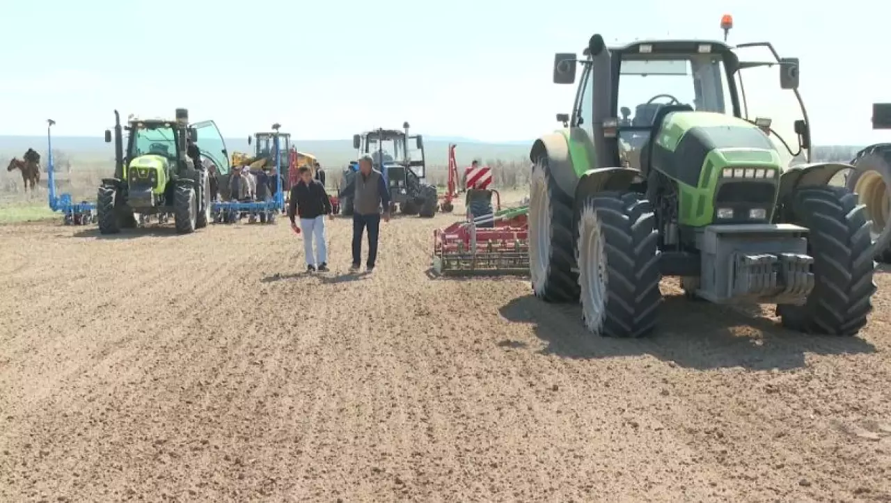 Посев сахарной свеклы начался в области Жетісу