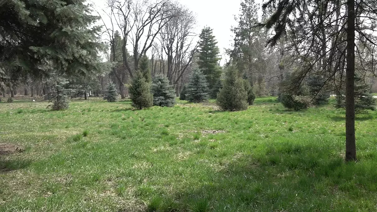 Алматыдағы ботаникалық бақ жазғы жұмыс режиміне өтті