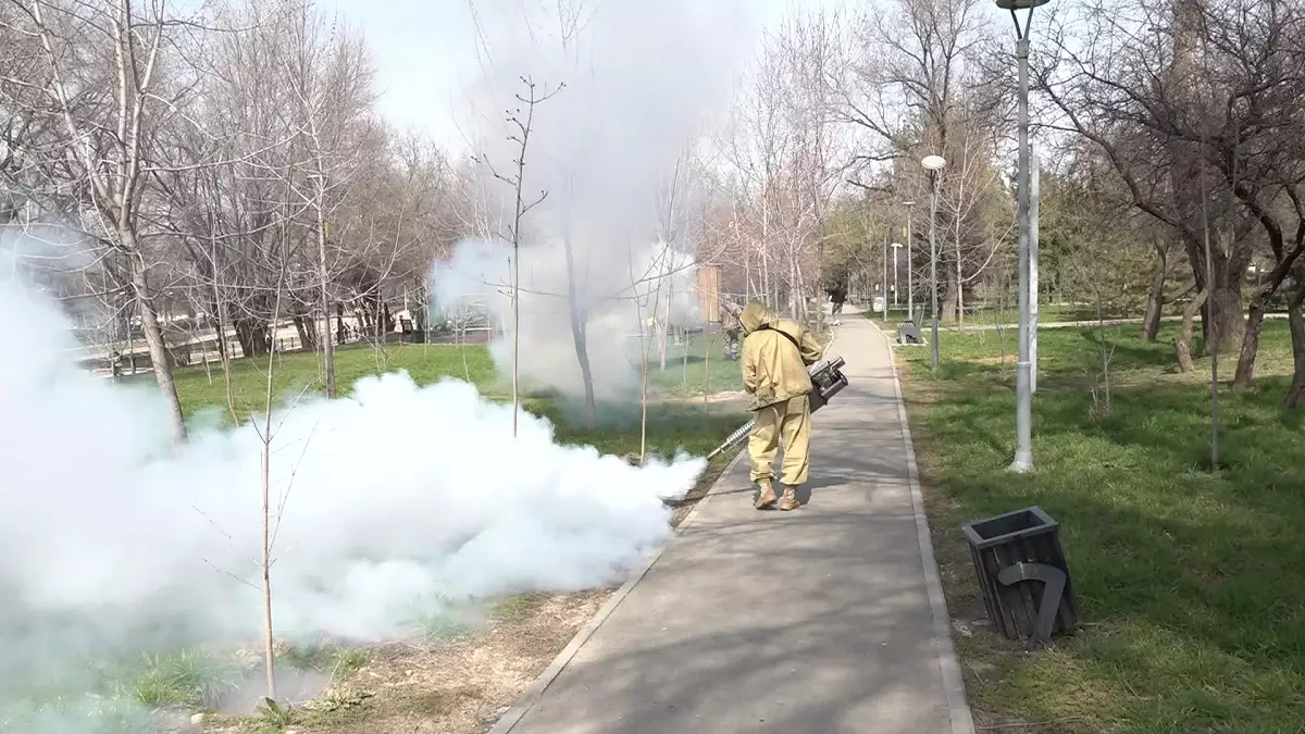 Кене шаққанда не істеу керек: Алматы дәрігерлері тұрғындарға ескерту жасады