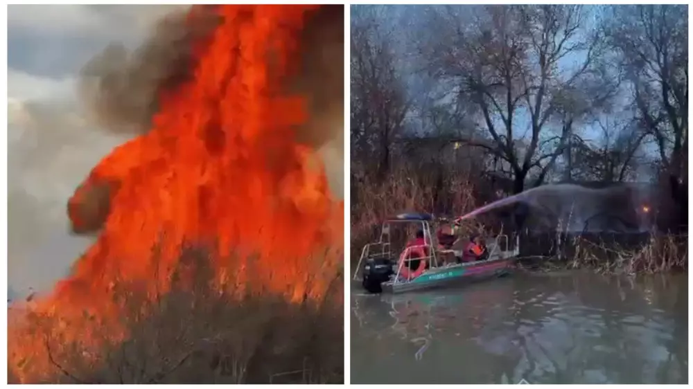 В Кызылорде  в крупном пожаре горели сухостой, деревья и кустарники: виновник установлен