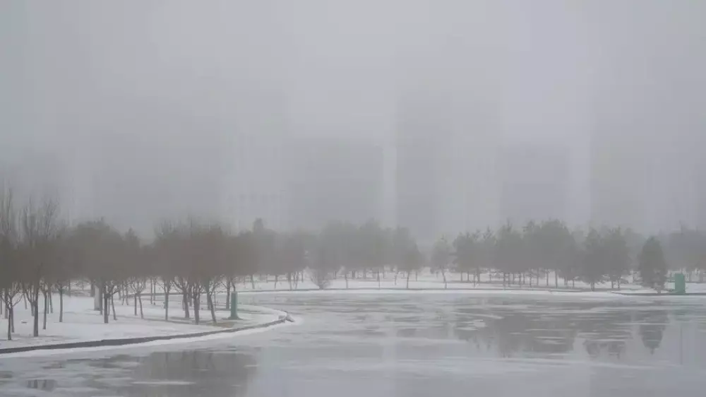 Осадки, туман и пожарная опасность: штормовое предупреждение объявили в 13 областях