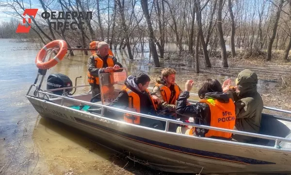 Паводковая волна из Казахстана: когда ждать пика половодья в Тюменской области