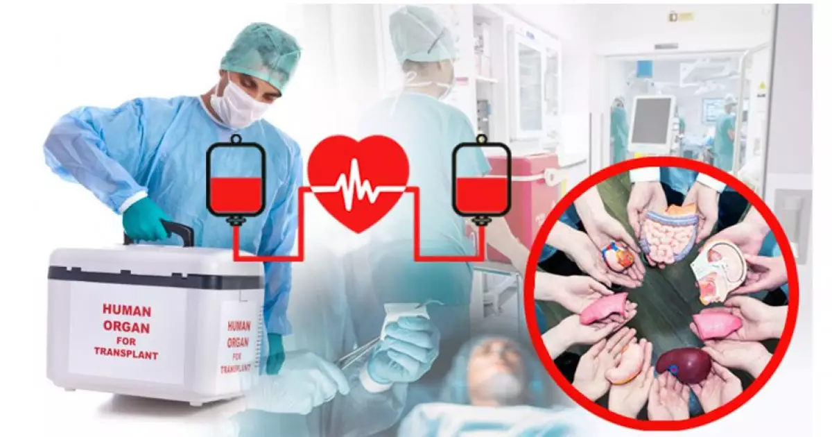   Донорлықтың беймәлім даңғылы   