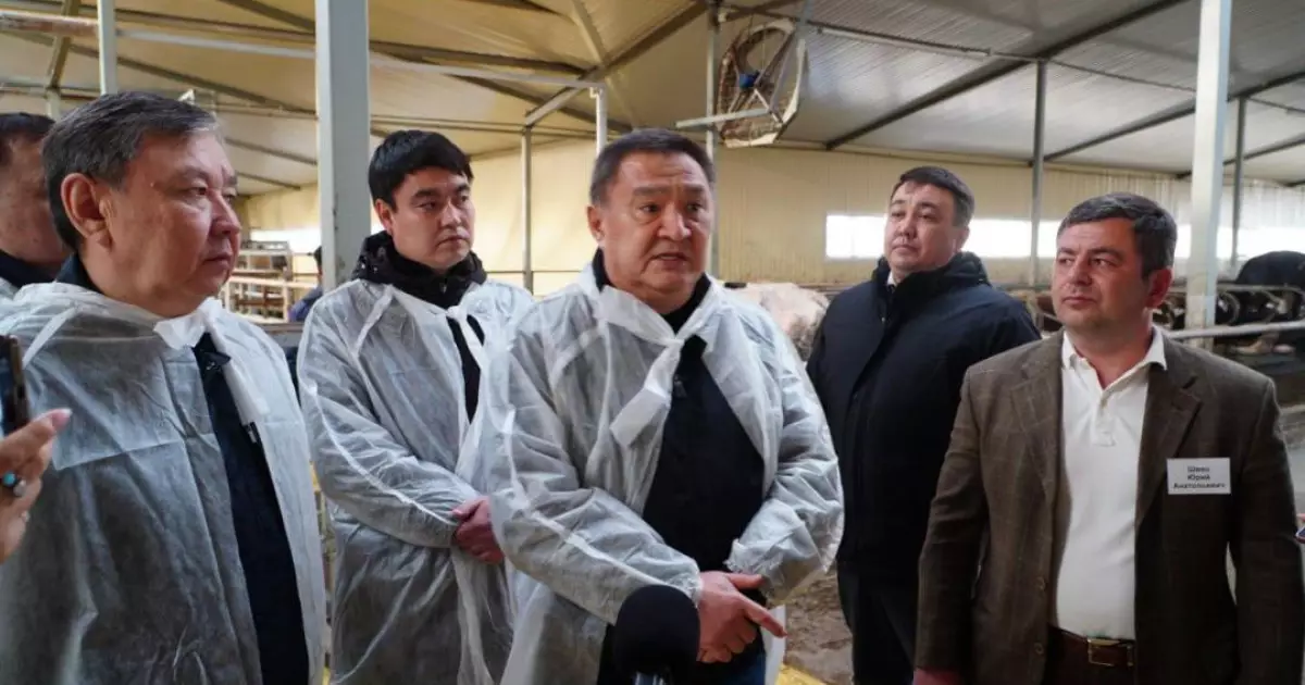   Ақмола облысында 400 басқа арналған заманауи сүт-тауар фермасы іске қосылды   