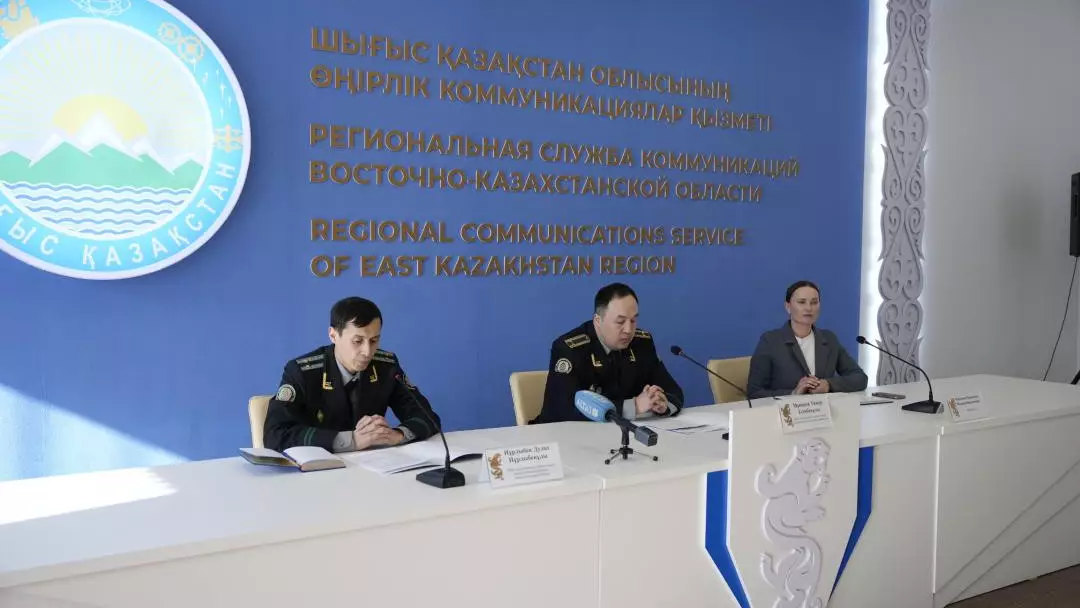 В ВКО пресечена деятельность трёх финансовых пирамид