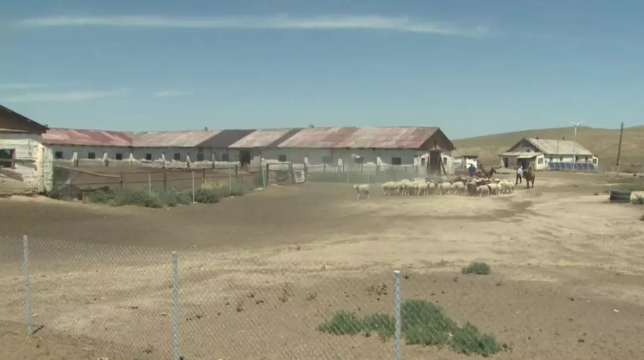 Шопандарға әлеуметтік төлем төленеді