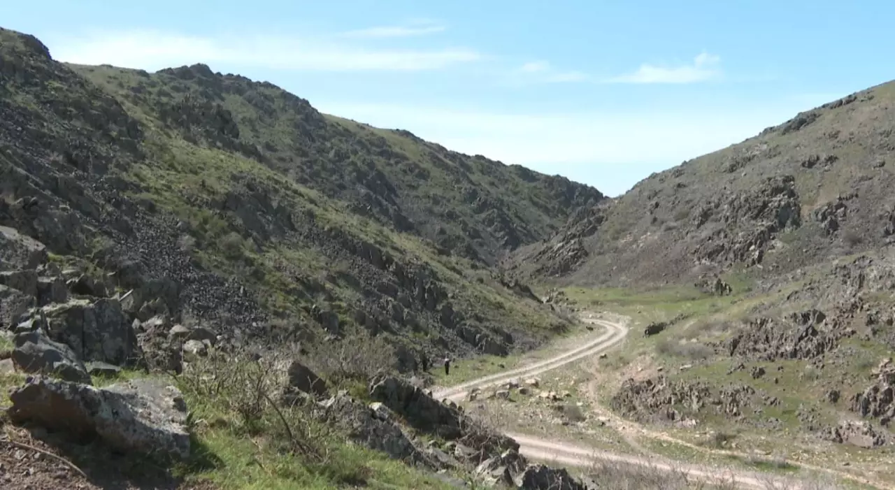 Жамбыл облысында петроглифтерді зерттеу жұмыстары басталды