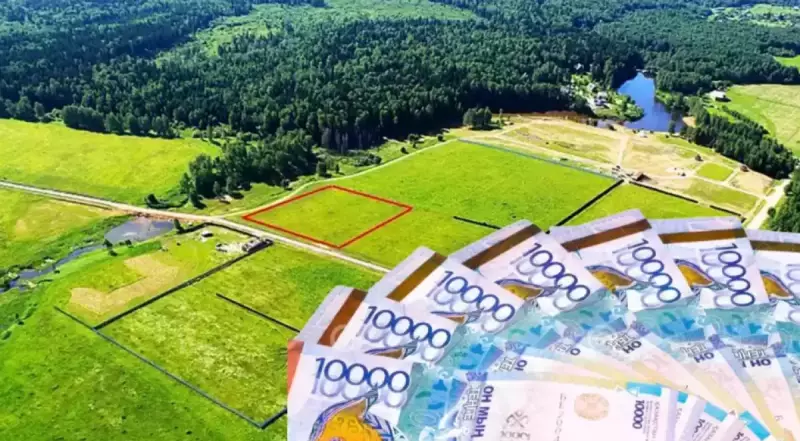 Фермеры лишились земель по вине акимата в Жамбылской области