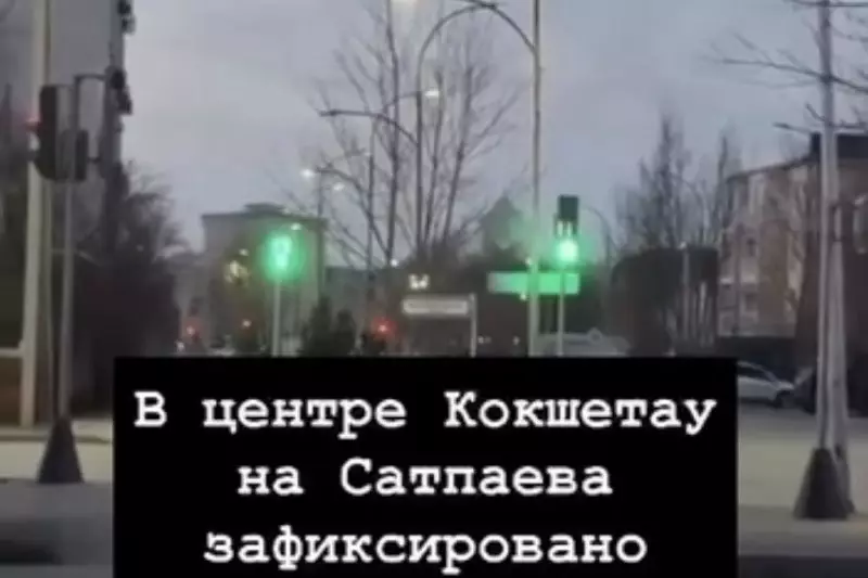 Көкшетаудың қақ ортасы қоқысқа көмілді: жауапты кім?