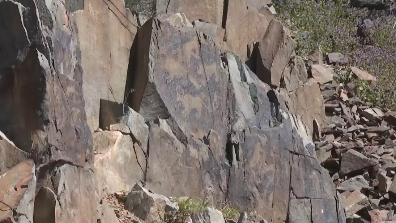 К комплексному изучению петроглифов в Жамбылской области приступили учёные