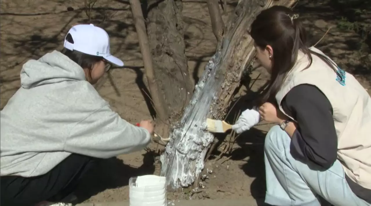 Былтыр елде 840 мың тонна қоқыс шығарылды   