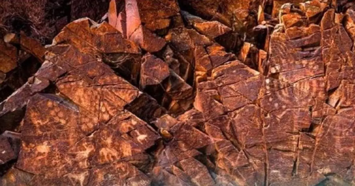  Алматыда Таңбалы мұрасын жаңа қырынан танытатын халықаралық көрме ашылады 