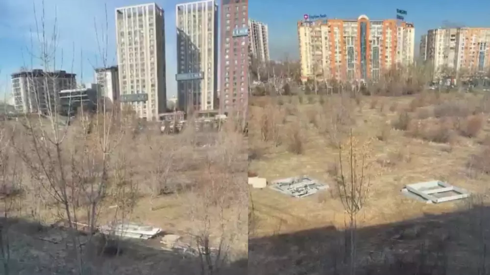 “Убили фазана, жгут землю“: алматинцы обеспокоены судьбой участка в предгорье