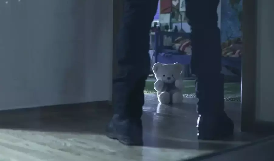 Шымкент тұрғыны туысының баласын зорлады деген күдікке ілінді