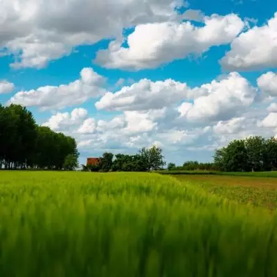 Казахстан вошел в топ-6 мира по сельхозугодьям