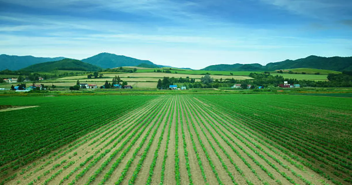   Қазақстан ауыл шаруашылығы алқабы бойынша әлемнің топ-6 елі қатарына енді   