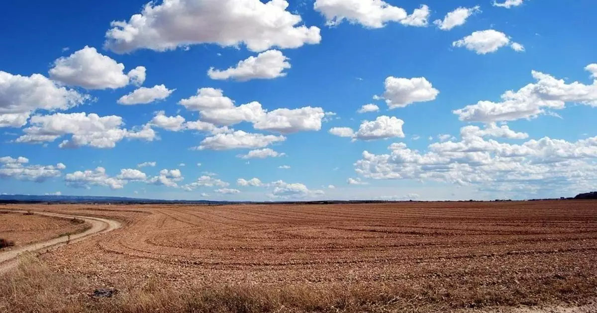  Қазақстан ауыл шаруашылығы алқаптары бойынша әлемдегі үздік 6 елдің қатарына енді 