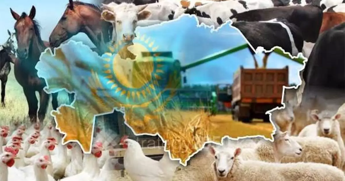  Казахстан вошел в топ-6 мира по сельхозугодьям 