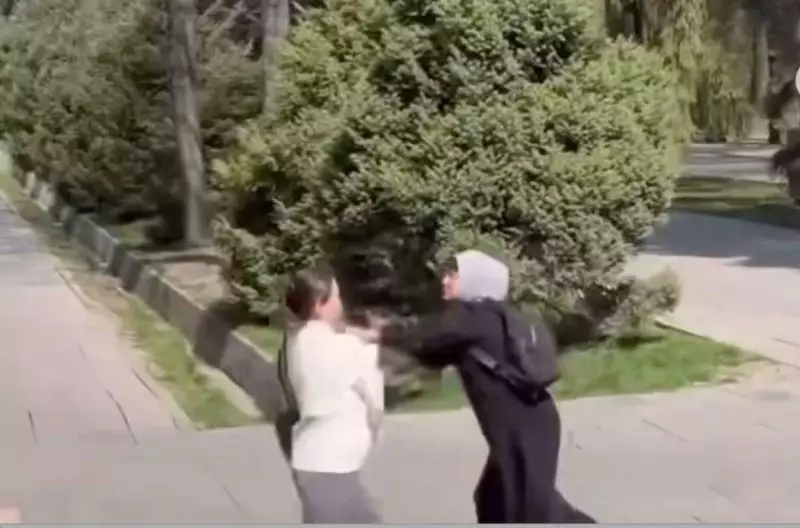 «Кидались с кулаками и бросали камни»: полиция Алматы проверят видео конфликта с девушками