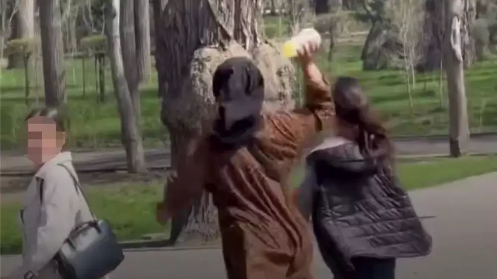 “Жұдырық ала жүгіріп, тас лақтырды“. Алматы тұрғындары жасөспірімдердің оғаш әркетіне шағымданды