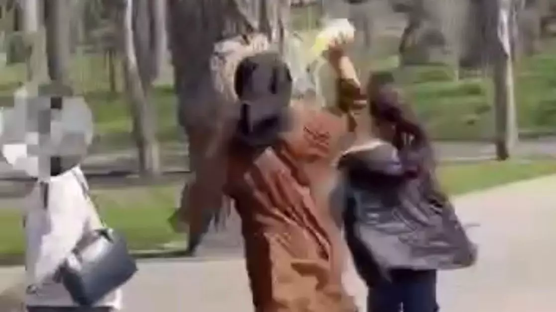 Алматыда саябақта жасөспірім қыздар тұрғындарға тап берген: Полиция тексеруді бастады