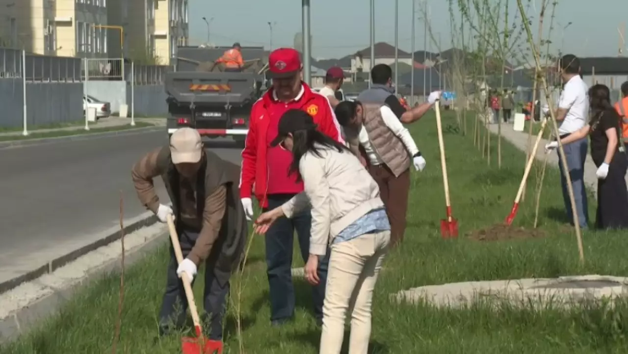 В Шымкенте в рамках экоакции посадили деревья