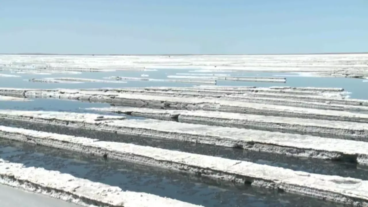 Қазақстан жылына 2 млн тонна тұз өндіреді