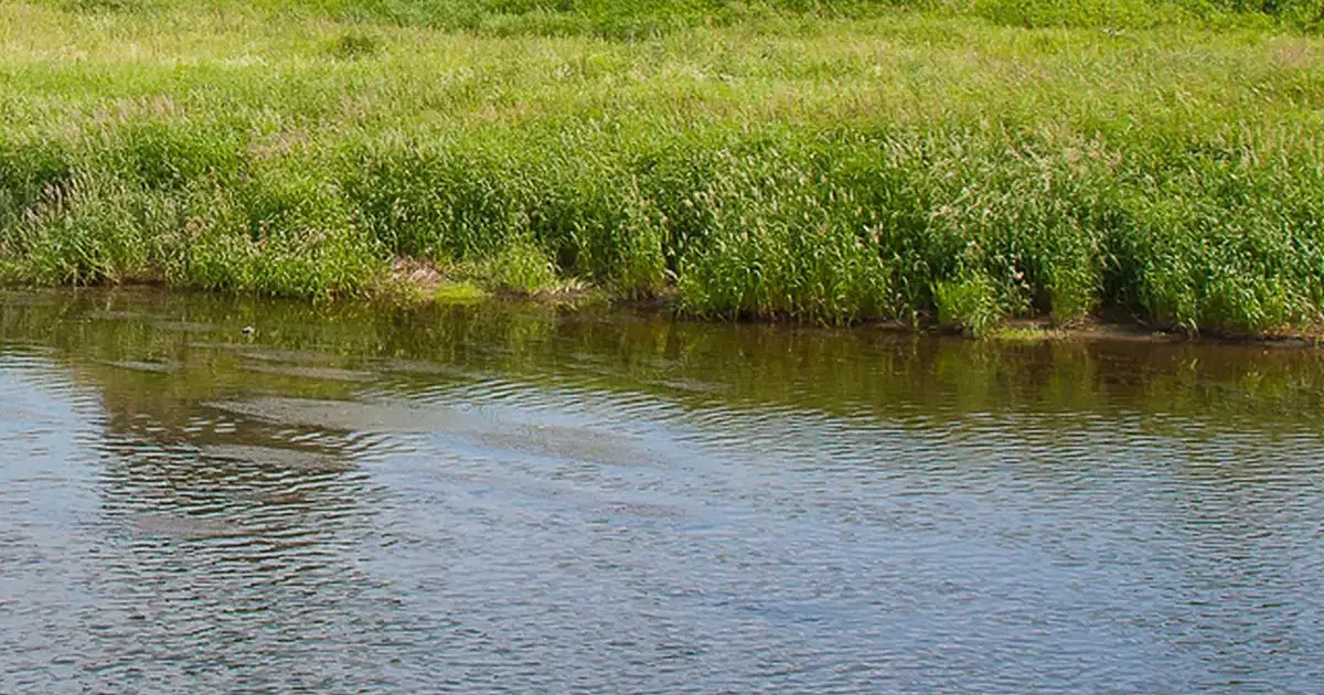  Түркістан облысында 2 жастағы баланы ағыс алып кеткен 