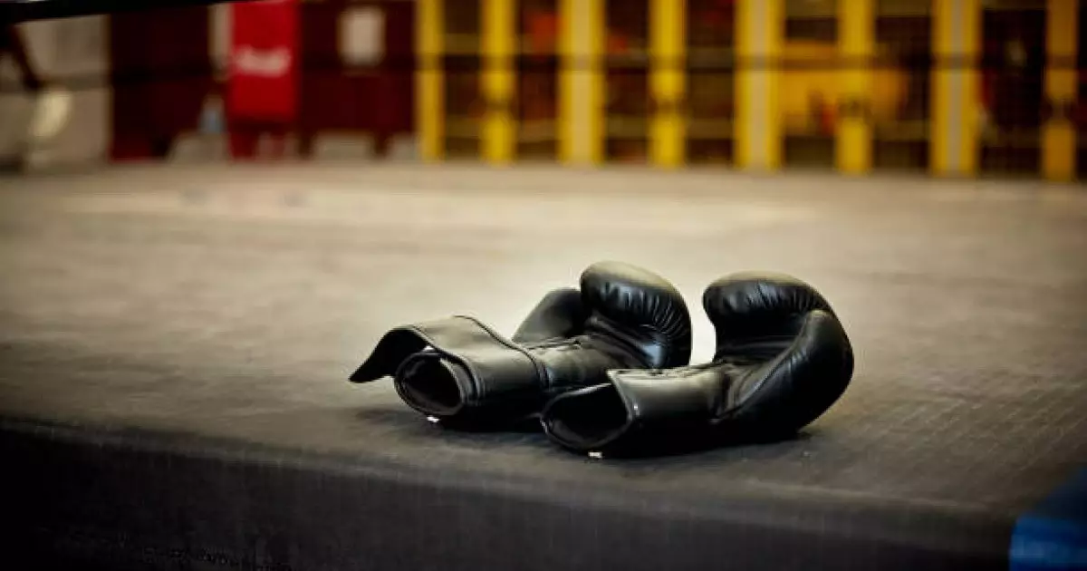  Үкімет 2026-2030 жылдарға арналған боксты дамыту тұжырымдамасын бекітті 