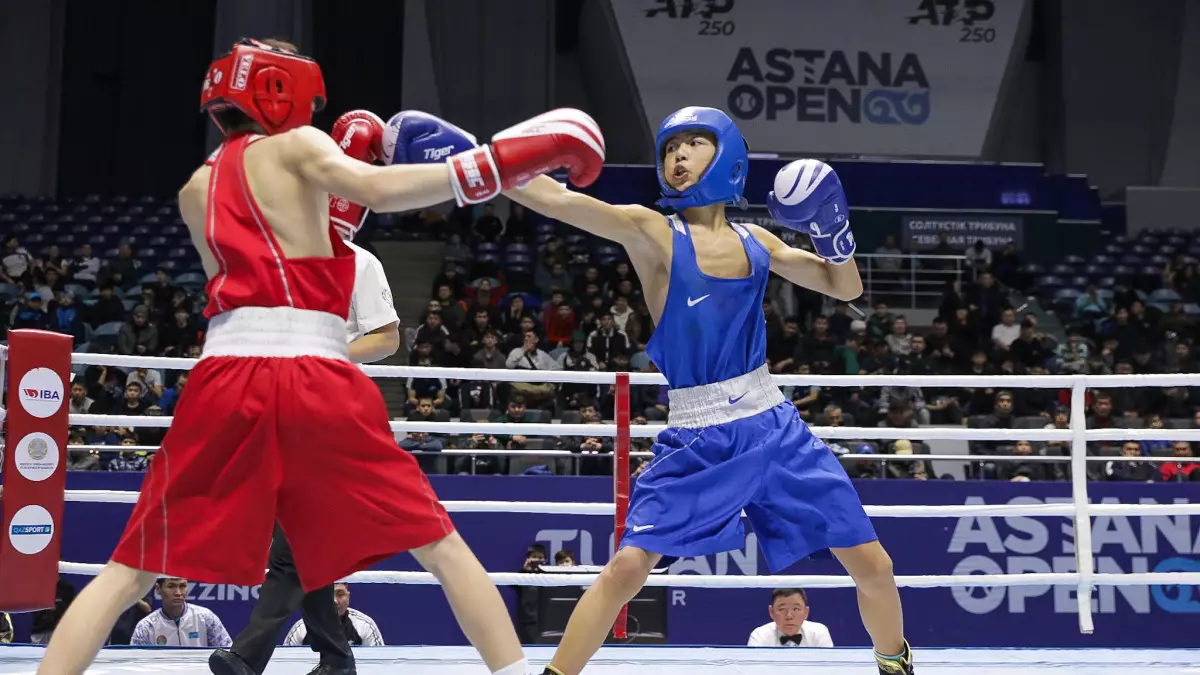 Правительство Казахстана утвердило Концепцию развития бокса до 2030 года