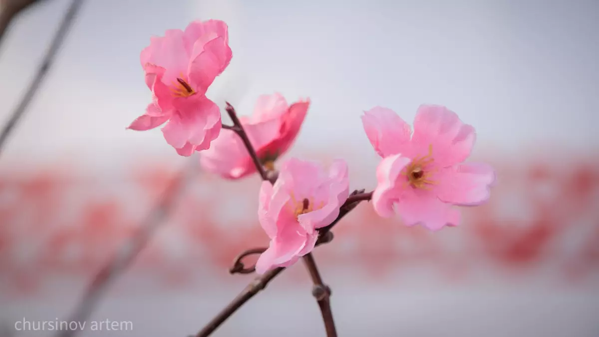 Қазақстандықтар мамыр айында қанша күн демалады?