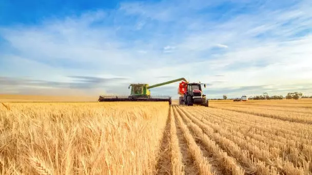 В Казахстане полностью цифровизируют субсидии в сельском хозяйстве