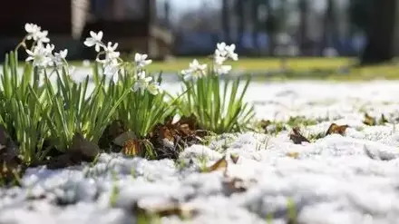Елімізде ауа райы күрт суытуы мүмкін